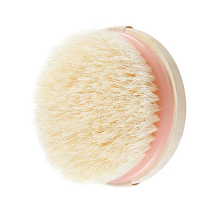 Dry body brush head close-up with light pink bristles on round base